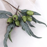 Eucalyptus Gum Nut Pick 34cmH